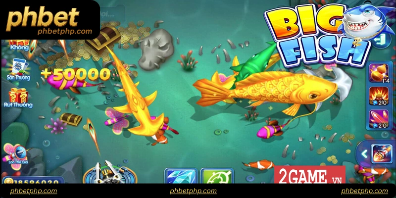 Comparison of Fish Types and Rewards